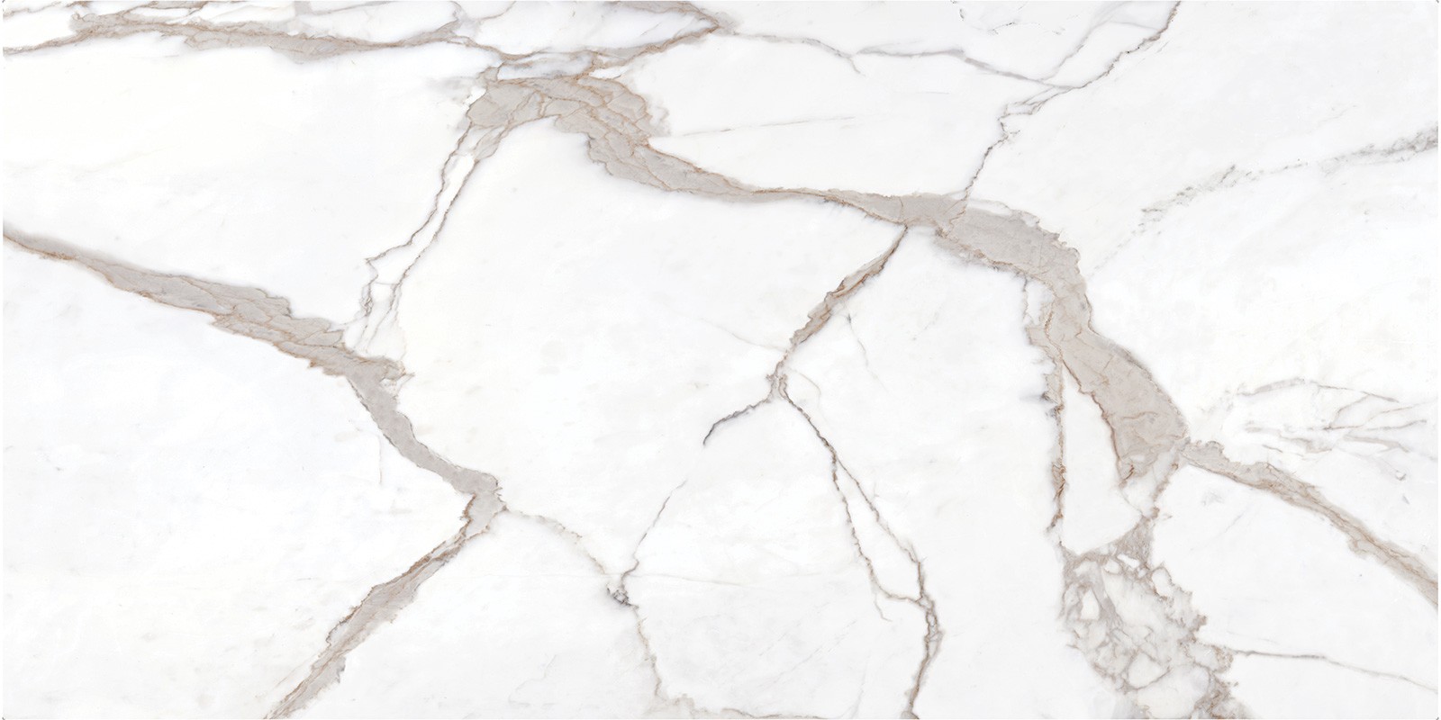 Calacatta Top EleMar Elevation Porcelain slab