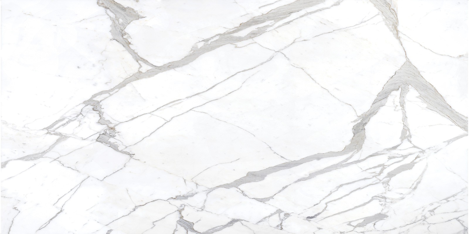 Statuario EleMar Elevation Porcelain slab