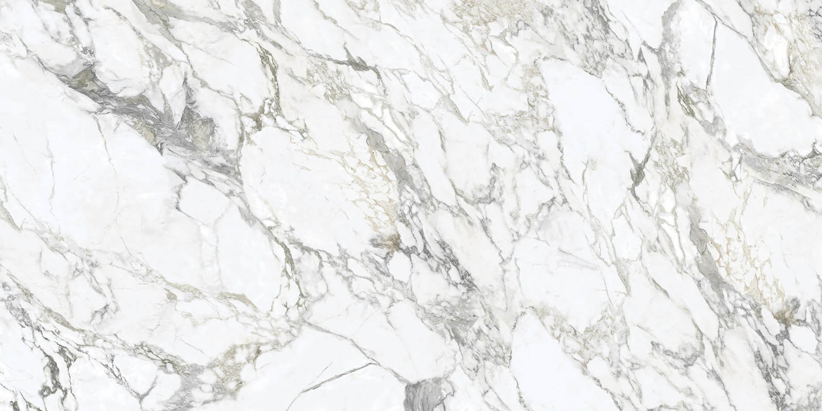 Arabescato EleMar Elevation Porcelain slab